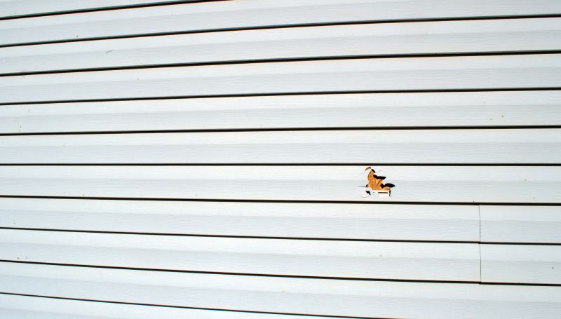 Vinyl Siding Repair Service Image 3